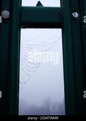 Radley Village,Oxfordshire,  England - 26 November 2020;   No people in shot.  You have to be up nice and early to get this shot- early morning spider Stock Photo