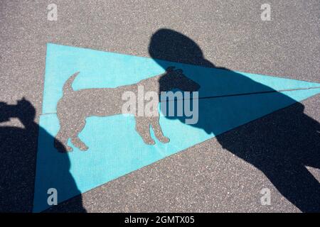 Le Havre, France - 30 May 2017; Only in France - a cute pavement marker showing recommended path for walking dogs. Nice. And every dog is different... Stock Photo