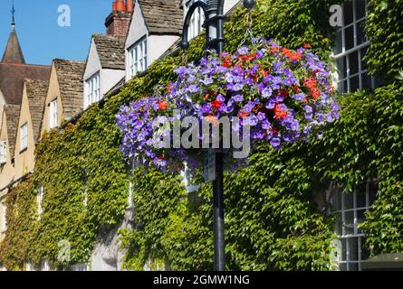 Oxford, England - 20 July 2020; no people in view. The spectacular colours of Boston Ivy light up this house in Broad Street, Oxford. Broad Street is Stock Photo