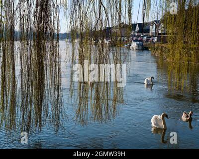 Abingdon, England - 6 March 2020    Saint Helen's Wharf is a noted beauty spot on the River Thames, just upstream of the medieval bridge at Abingdon-o Stock Photo
