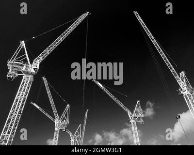 These mammoth cranes are all at work on 