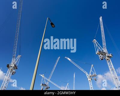 These mammoth cranes are all at work on 