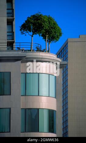 San Francisco, California USA - June 1986; A tree growing halfway up a building seems such a strange and incongruous thing, Seen in downtown San Franc Stock Photo