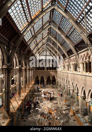 Oxford, England - 2014; The Pitt Rivers Museum is a museum displaying the archaeological and anthropological collections of the University of Oxford. Stock Photo