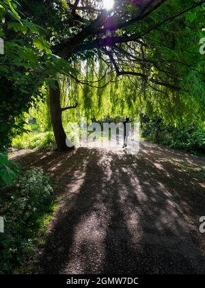 Abingdon, England - 4 May 2019; one man in shot.  This beautiful footpath runs through Abbey Fields in Abingdon, England. Named after the medieval abb Stock Photo