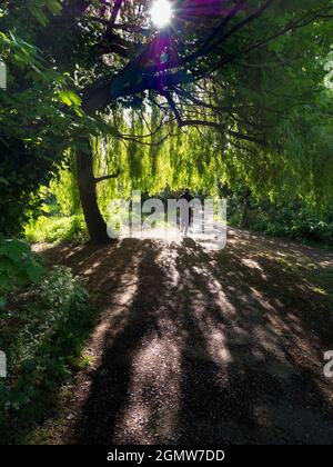 Abingdon, England - 4 May 2019; one man in shot.  This beautiful footpath runs through Abbey Fields in Abingdon, England. Named after the medieval abb Stock Photo