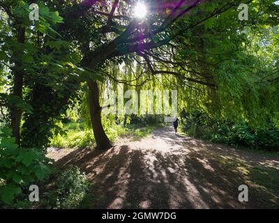 Abingdon, England - 4 May 2019; one man in shot.  This beautiful footpath runs through Abbey Fields in Abingdon, England. Named after the medieval abb Stock Photo