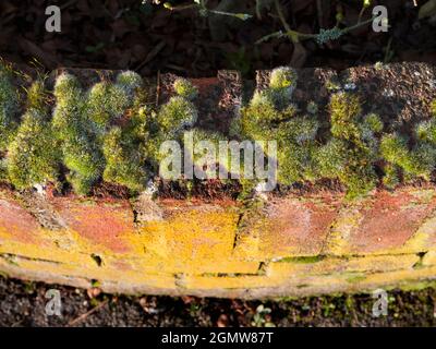 Radley Village, Oxfordshire, England - 7 February 2020;       You can find abstract beauty or interesting shapes just about anywhere, if you just look Stock Photo