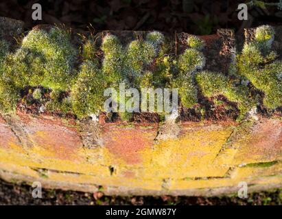 Radley Village, Oxfordshire, England - 7 February 2020;      You can find abstract beauty or interesting shapes just about anywhere, if you just look Stock Photo