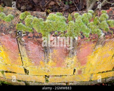 Radley, Oxfordshire, England - 3 February 2020; no people in shot.     You can find abstract beauty or interesting shapes just about anywhere, if you Stock Photo