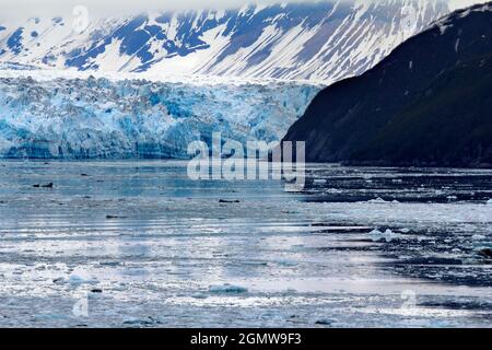 Hubbard Glacier is located in eastern Alaska and part of Yukon, Canada, and named after Gardiner Hubbard. It is a favoured view for all sightseeing cr Stock Photo