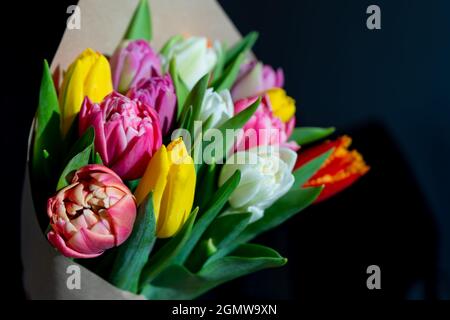 Bouquet of multi-colored tulips close-up. Spring bright flowers. Tulip flower. Congratulatory concept. Floral mood postcard Stock Photo