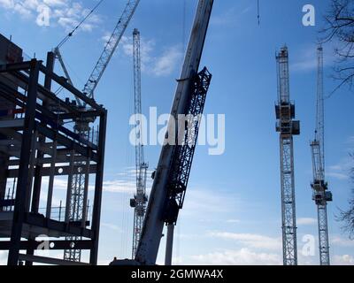 These mammoth cranes are all at work on 