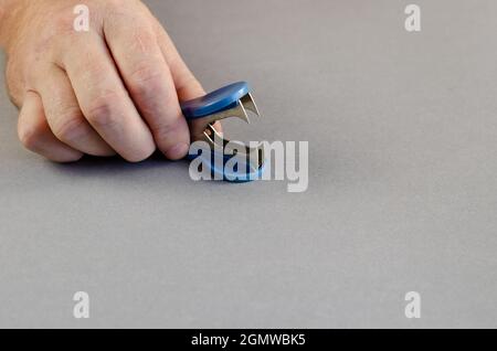 Male hand holds blue anti stapler against gray background. Devic Stock Photo