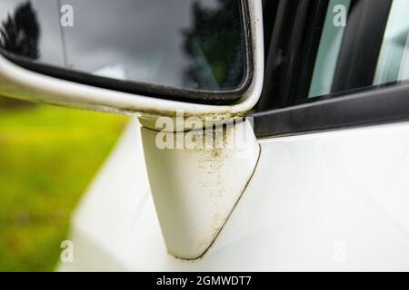 Detail view of green lichen moss grow on new modern white car, not coming of after car wash. Moist climate problem concept. Stock Photo