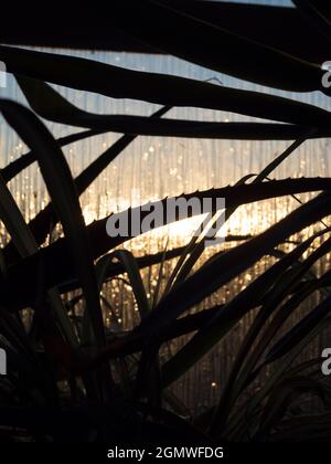 Radley Village, Abingdon, England - 27 March 2021; no people in view. Abstract beauty can be seen anywhere, if you look for it. This is the view throu Stock Photo