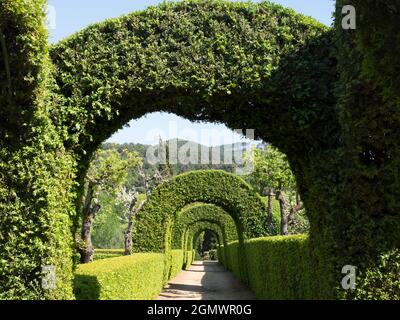 Pal‡cio de Mateus, is an unusual 18th Century baroque palace located in Mateus, in the Douro Valley municipality of Vila Real in Portugal. As well as Stock Photo