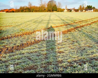 Oxfordshire, England -  30 December 2020; no people in view.    I love electricity pylons; I find their abstract, gaunt shapes endlessly fascinating. Stock Photo