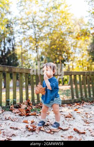 one year old boy standing taking his first steps in a playground holding dry leaves in autumn