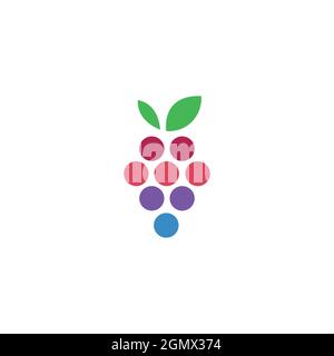 abstract grape logo icon flat concept vector graphic design Stock Vector