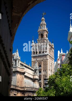 Seville, Andalucia, Spain - 31 May 2016; no people in view. The Cathedral of Saint Mary of the See in Seville, Spain, is the largest Gothic cathedral Stock Photo