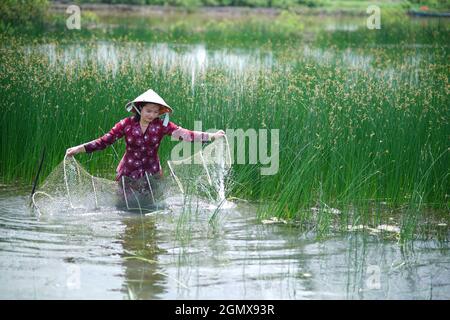 Nice landscape in Ca Mau province southern Vietnam Stock Photo