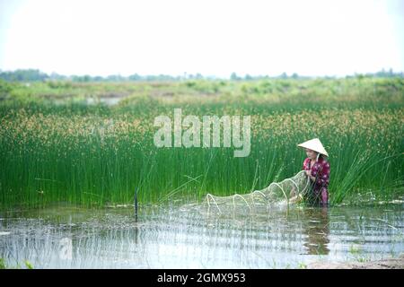 Nice landscape in Ca Mau province southern Vietnam Stock Photo