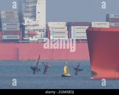 Sheerness, Kent, UK. 21st September, 2021. Two large ships are seen passing close to the infamous shipwreck SS Richard Montgomery (which sank with 1400 tons of explosives onboard) in the Thames Estuary off of Sheerness, Kent this morning. Container ship 'SANTA BARBARA' in the background, with the bow of huge LNG Gas ship 'RIAS BAIXAS KNUTSEN' seen in the foreground, with the shipwreck appearing to be sandwiched in the middle. Credit: James Bell/Alamy Live News Stock Photo