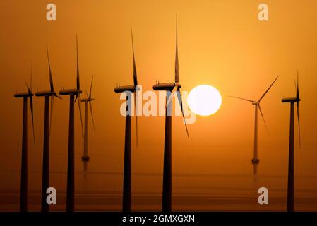 Copenhagen, Denmark - 7 June 2011; Turbines spin in a windfarm in shallow waters outside Copenhagen Harbour, Denmark, at sunset. Stock Photo