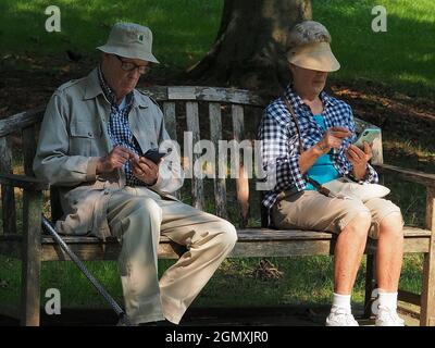 senior couple sitting on wooden park bench both on cell phone Stock Photo