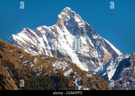 mount Nanda Devi, one of the best mounts in India Himalaya, seen from Joshimath Auli,  Uttarakhand, Indian Himalayan mountains Stock Photo