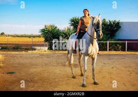 Seville Spain September 15, 2021 Unidentified Spanish people tending to horses at a hacienda in Andalusia in southern Spain Stock Photo