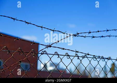 fence of chicken net in metal with barbed wire Stock Photo