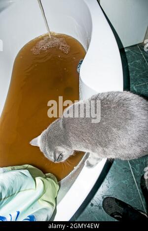 Low quality of tap water. The reason why it makes sense to install tap water filter. Stock Photo