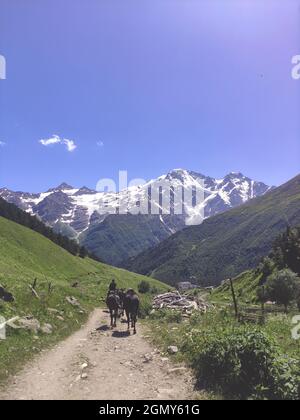 The shepherd leads the horses along the trail, against the background of a beautiful mountain landscape. The Caucasus mountains in summer. Stock Photo