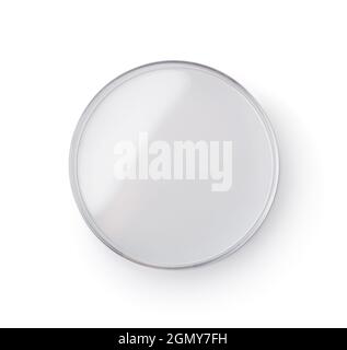Top view of empty petri dish isolated on white Stock Photo