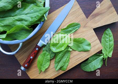Bunch of fresh sorrel on wooden background.Sorrel leaves on cutting board. Stock Photo