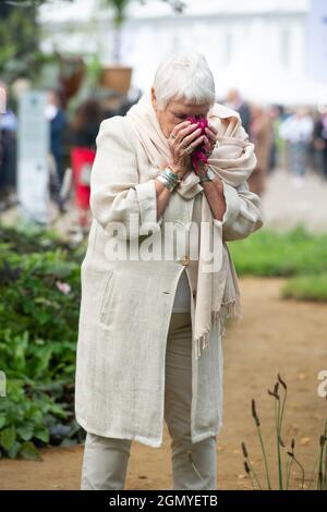 Chelsea, London, UK. 20th September, 2021. Dame Judi Dench, Ambassador for the Queen's Green Canopy opened the RHS Queen's Canopy Garden together with some Chelsea Pensioners Credit: Maureen McLean/Alamy Stock Photo