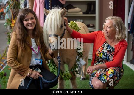 Chelsea, London, UK. 20th September, 2021. Entrepreneur and Dragon's Den Deborah Meaden meets cutie Teddy the Shetland Pony at the Welligogs Tradestand with his owner Molly Goring Credit: Maureen McLean/Alamy Stock Photo
