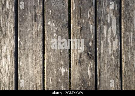 Old Rustic Wood Texture with Natural Patterns Stock Photo