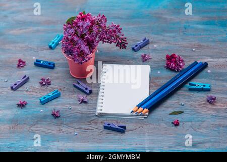 Blank notebook, pencils, lilac flowers and colorful pegs on vintage wooden painted blue background Stock Photo