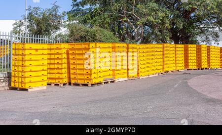 Dozen of yellow plastic boxes container crates staked  outdoors ready for transportation. Stock Photo