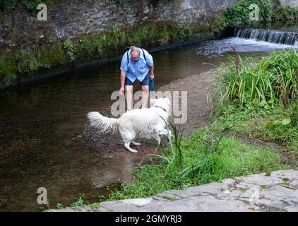 Truro, UK,21st September 2021,A man makes the most of  the glorious sunshine while playing with his large white dog in the Truro River. The Cathedral looked stunning under blue skies. The forecast is for 19C, sunny intervals and a moderate breeze.Credit: Keith Larby/Alamy Live News Stock Photo