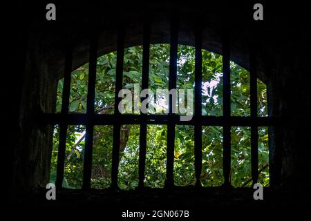 View from a former prison at Ile Royale, one of the islands of Iles du Salut (Islands of Salvation) in French Guiana. Stock Photo