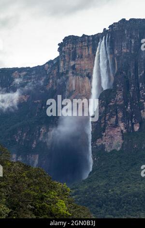 Angel Falls (Salto Angel), world's highest waterfall (978 m), Venezuela Stock Photo