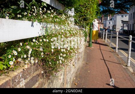 Cuckfield near Haywards Heath , Sussex , England , UK Stock Photo