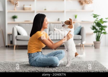 Side view of chinese woman petting jack russel terrier dog Stock Photo