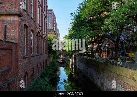 False Acacia lined Canal Street and the Rochdale Canal, Manchester city centre Stock Photo