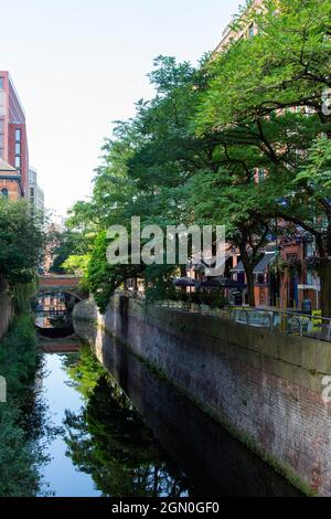 False Acacia lined Canal Street and the Rochdale Canal, Manchester city centre Stock Photo