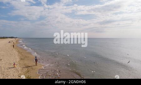 Zatoka, Odessa, Ukraine - September 4, 2021: Drone view of the beach scene, woman feeding seagulls on the Black Sea coast. Stock Photo
